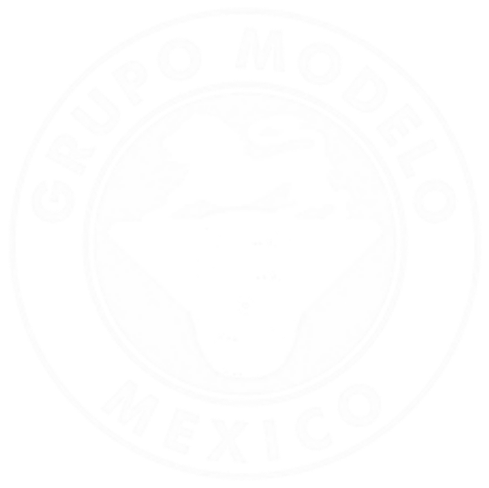 Grupo Modelo
